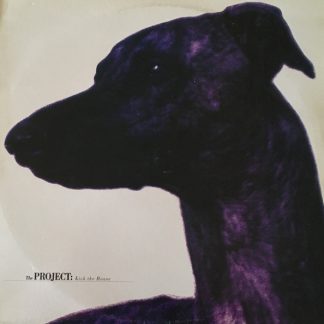 The Project - Kick The House 12"