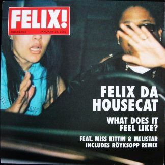 Felix Da Housecat - What Does It Feel Like? 12", Single